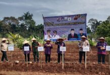 Wabup Tangerang Serahkan Bantuan Sarana Produksi Pertanian kepada 19 Kelompok Petani Jahe Merah & Kunyit Se-Kabupaten Tangerang